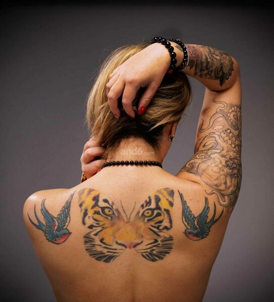 Photo 6