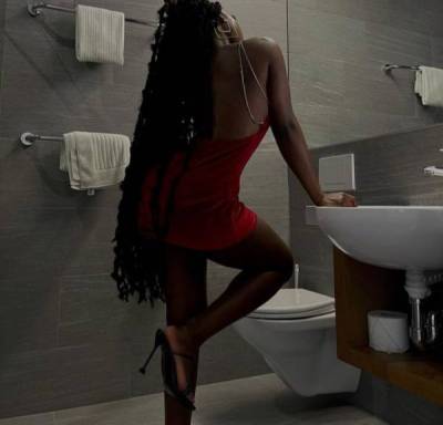 Belle petite chate africaine